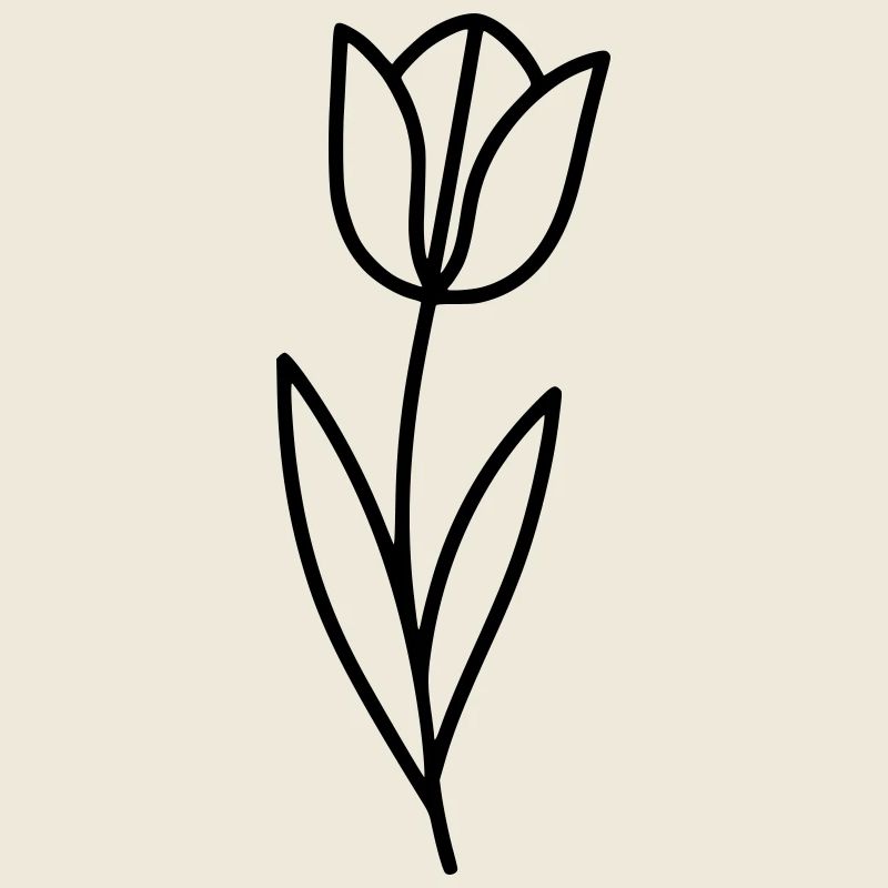 Tulip Flower Spring Outline