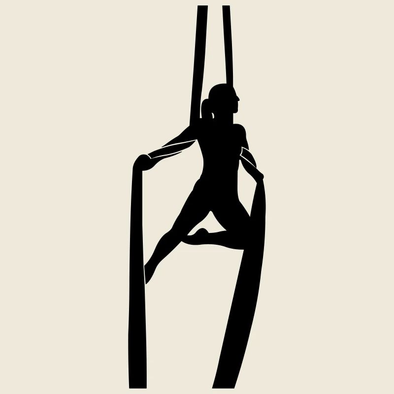 Aerial Silk