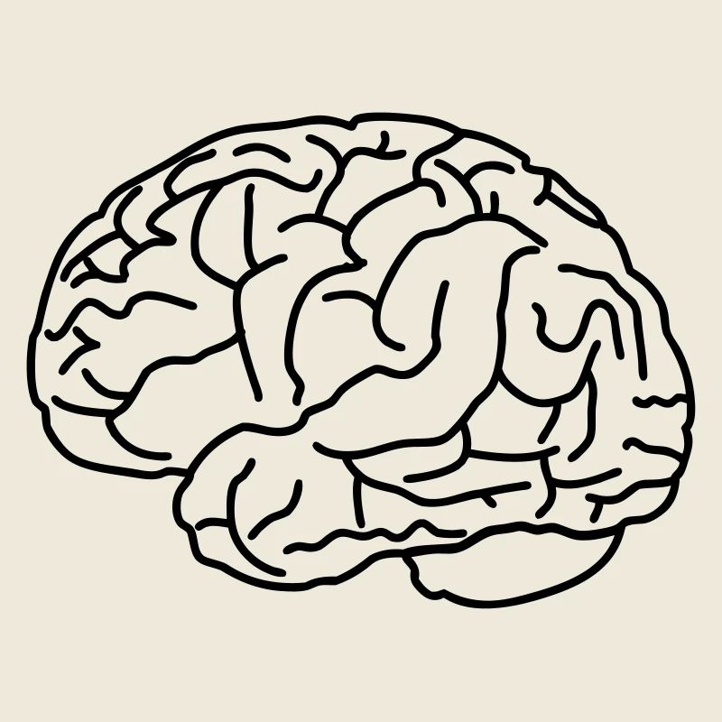 Brain