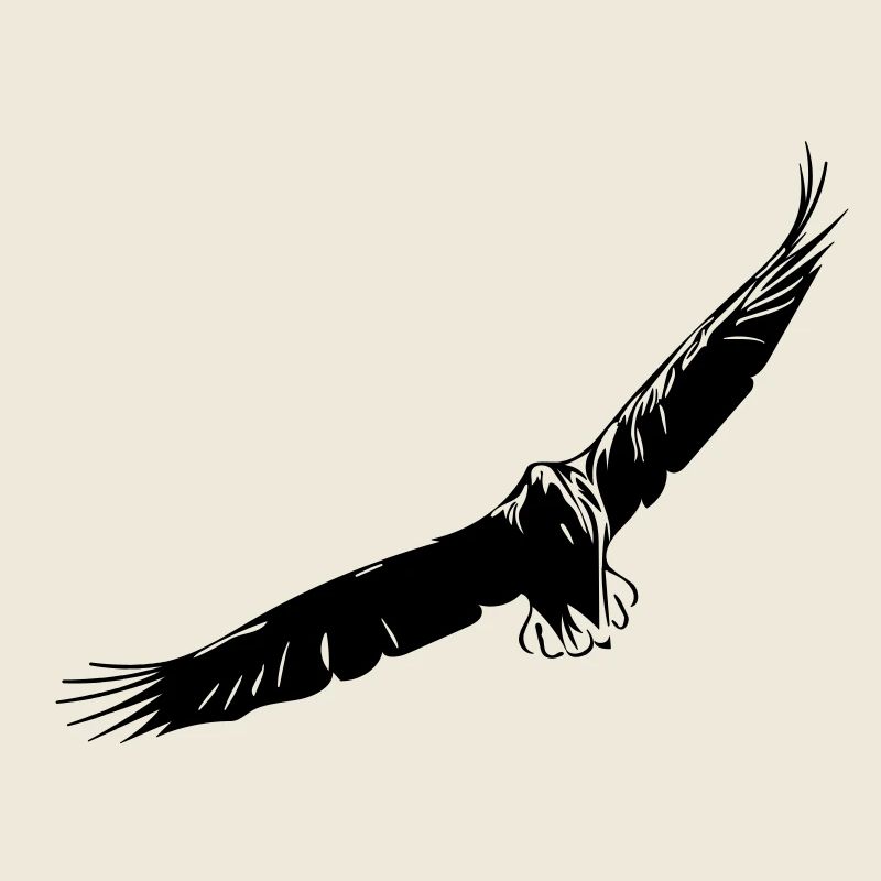 Aigle volant