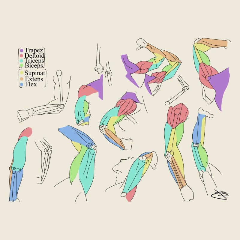 Écharpes abstraites colorées