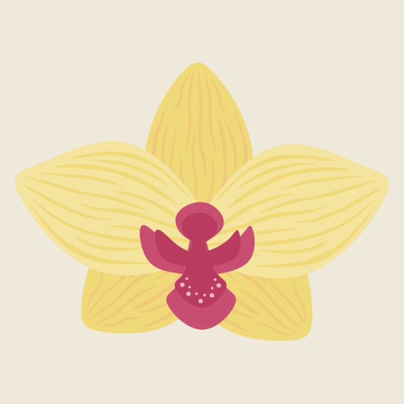 Orchidée jaune