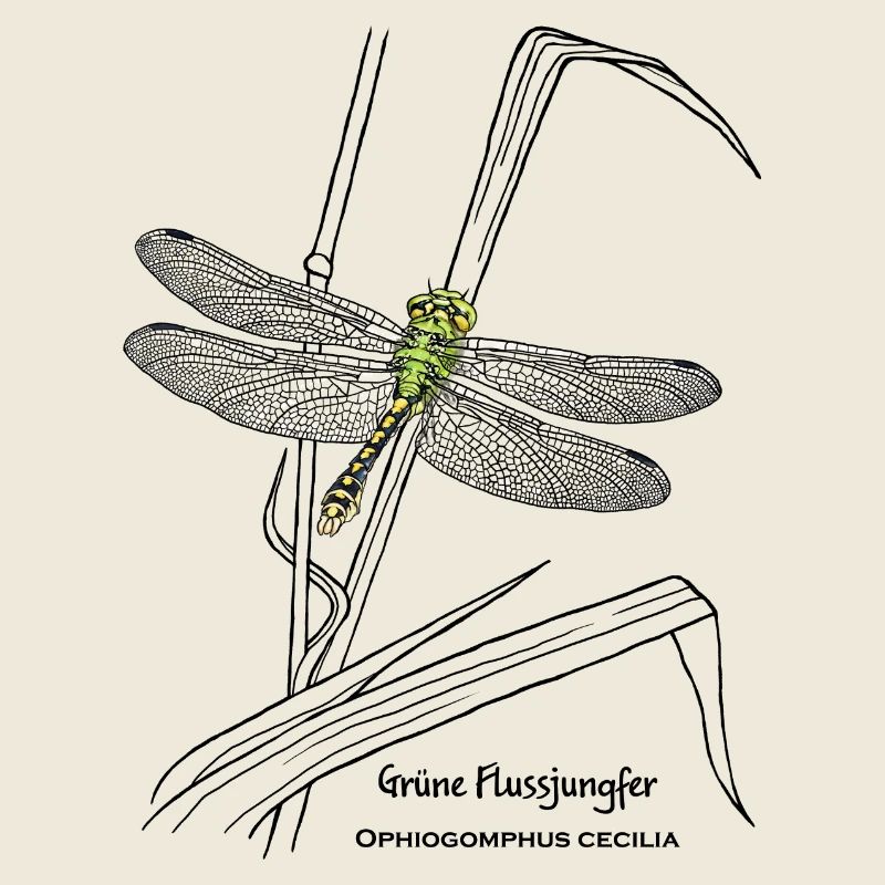 Vierge de la rivière Verte