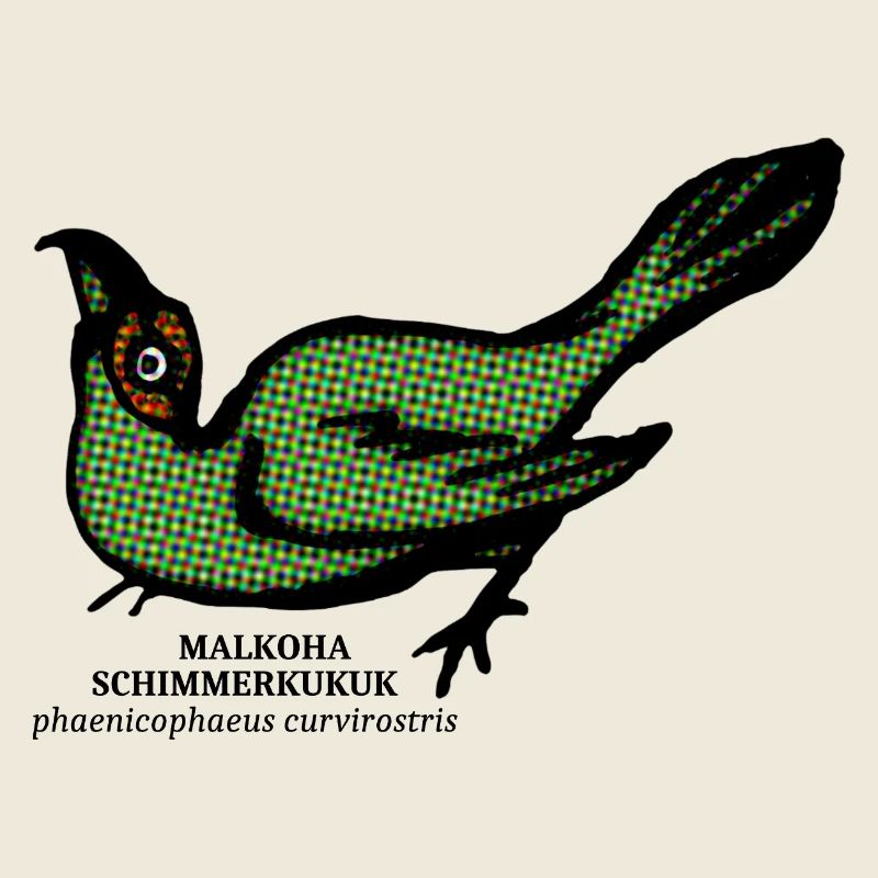 Malkoha Kuckuck curvirostris Regenwald retro Vogel
