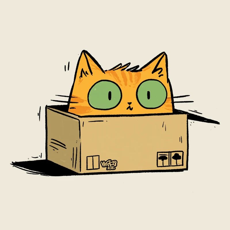 Mr Schroedinger