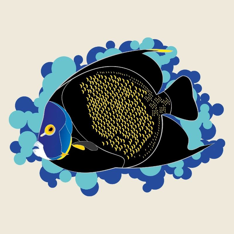 Kaiserfisch – Pomacanthus paru