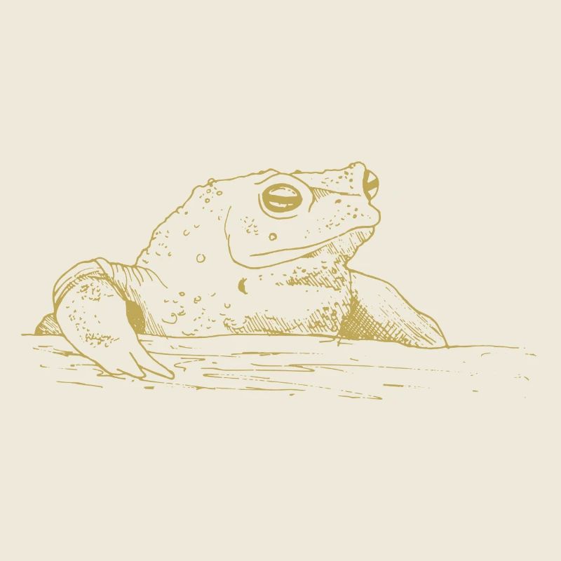 Illustrated designs with toad