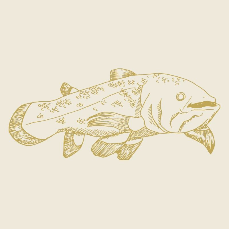 Illustrierte Designs mit Quastenflosser