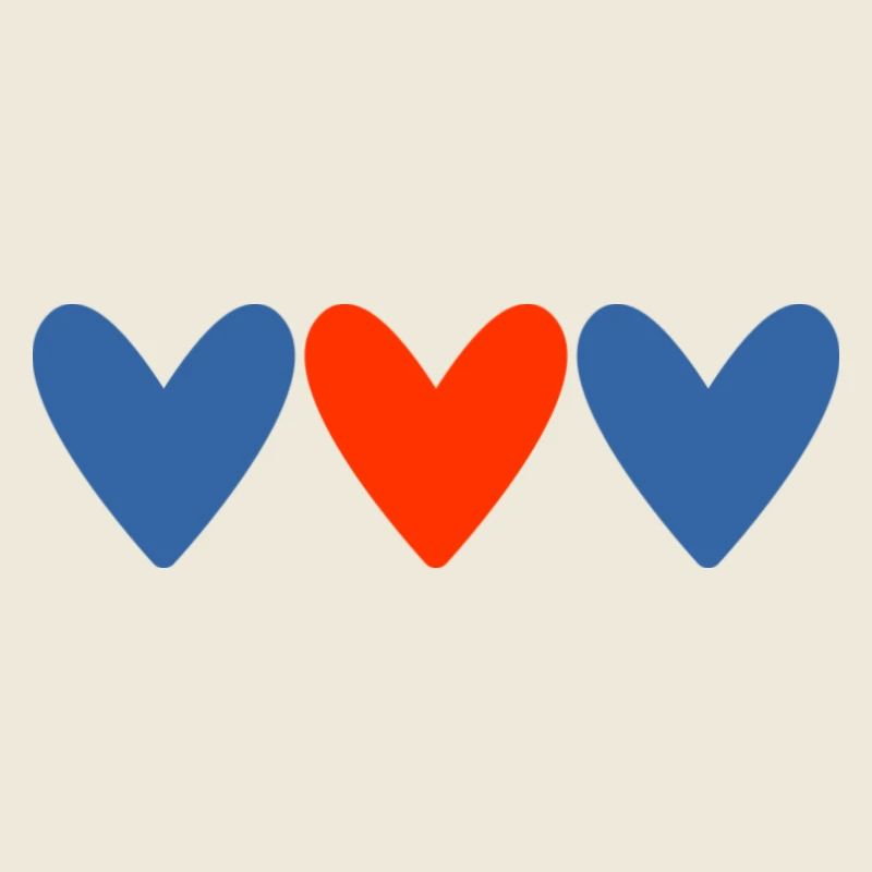 COUPLE. JUST MARRIED. EVJF. SAINT VALENTIN. MARIES