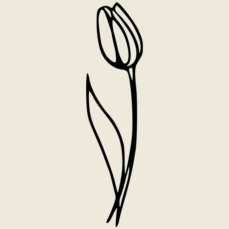 tulip