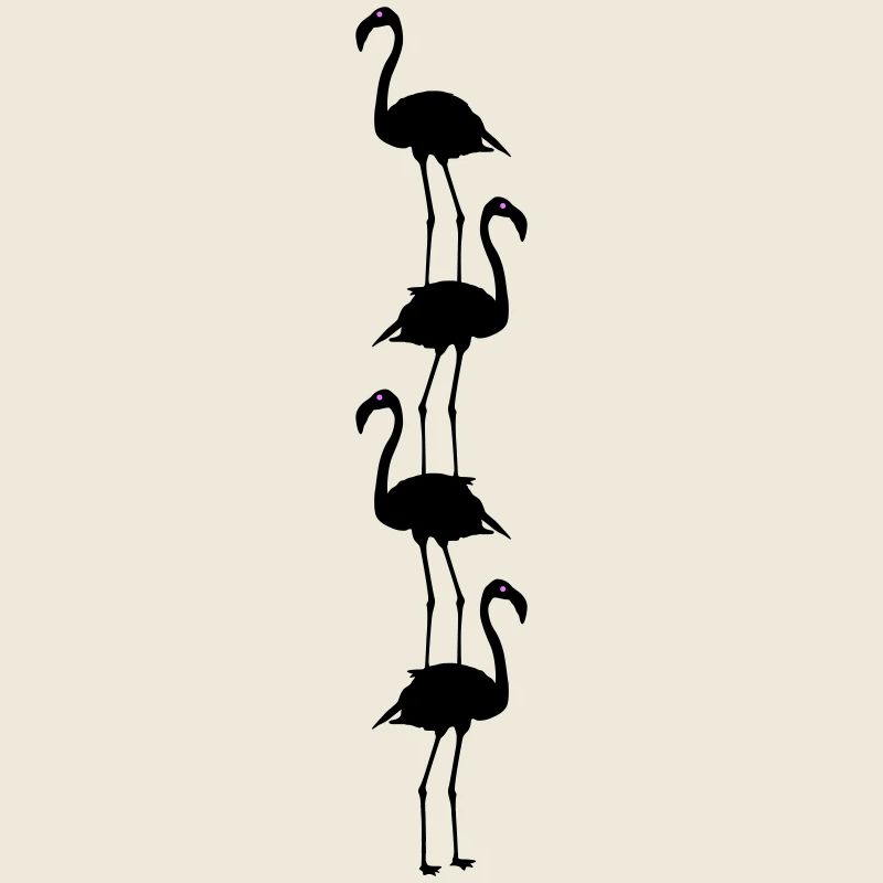 Flamingos Animals