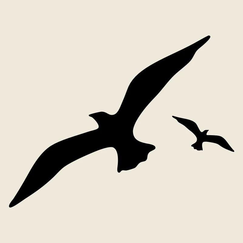 mouette