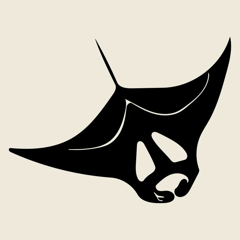 Manta Rochen