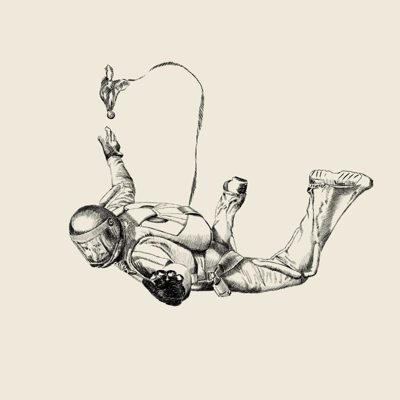 Skydiver