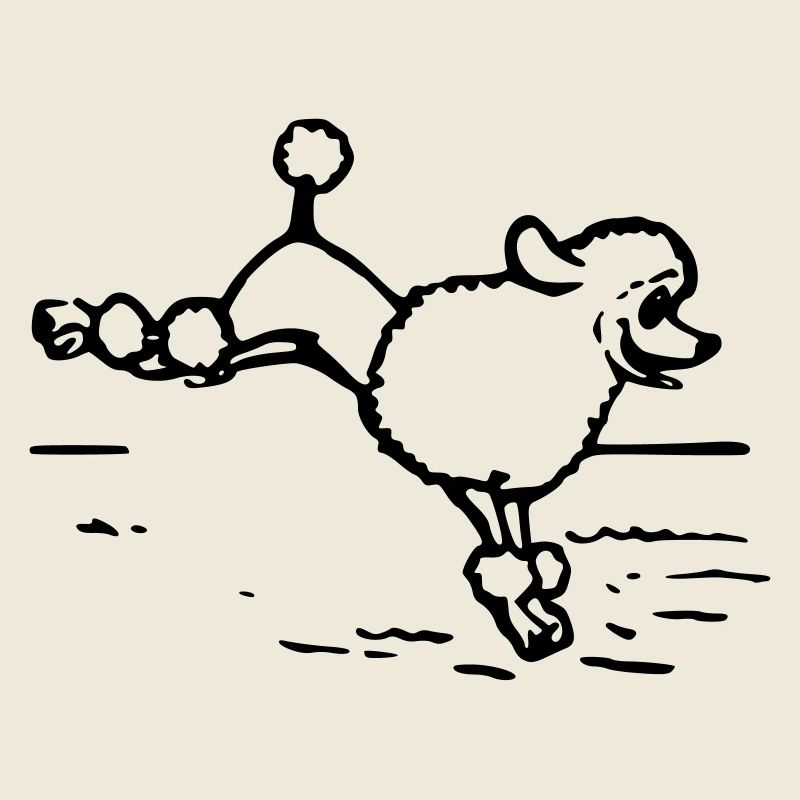A poodle