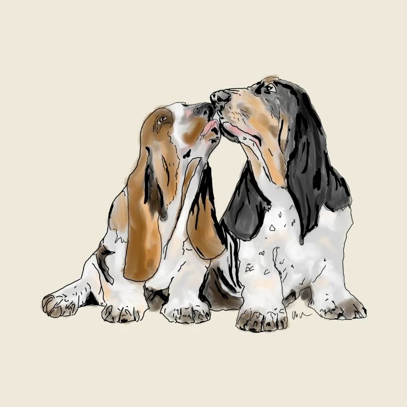 Basset