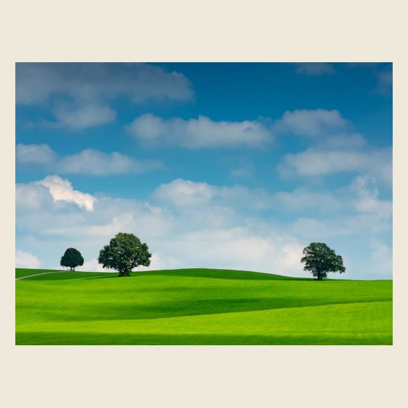 Beruhigende Landschaft