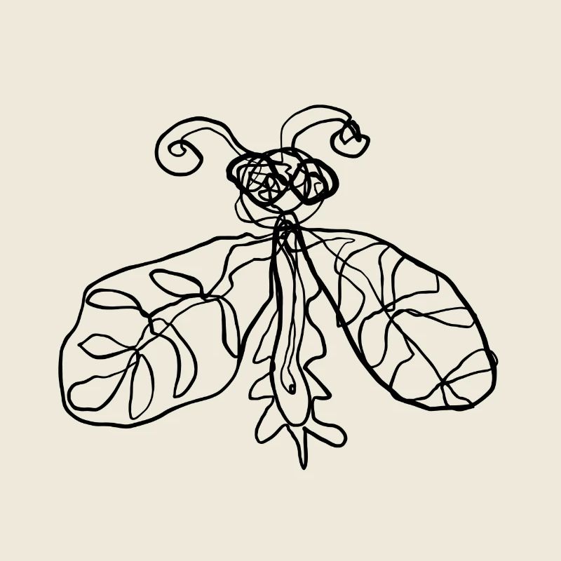 Insect