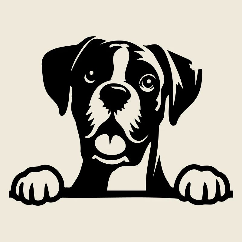 Boxer