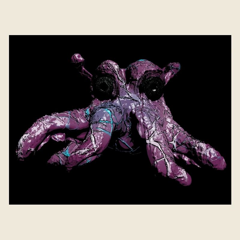 Octopus octopus