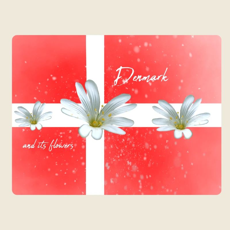 Danemark Danemark Danemark Drapeau