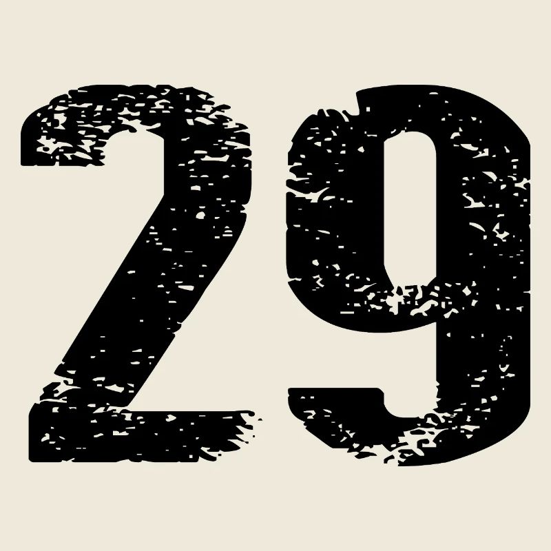 29 Number Jersey