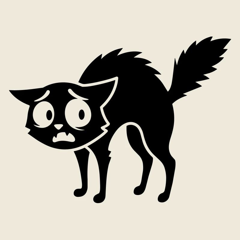 Frightened cat