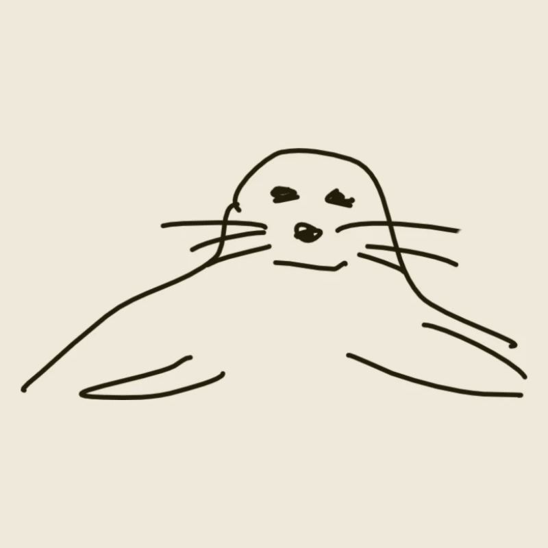 phoques phoques phoques animaux