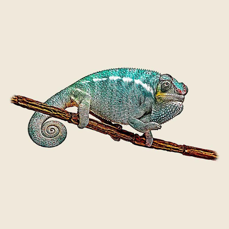 Caméléon