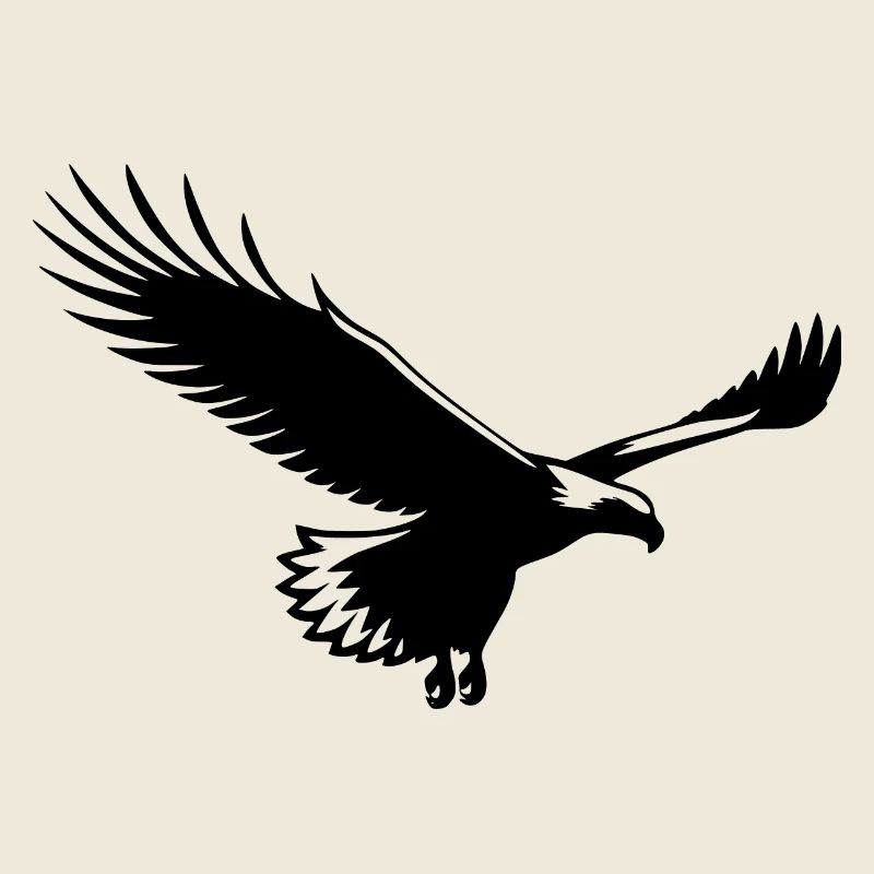 Aigle planeur élégant sur ailes larges