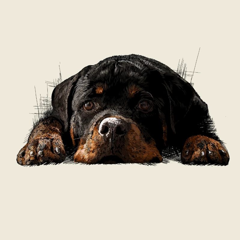 Rottweiler