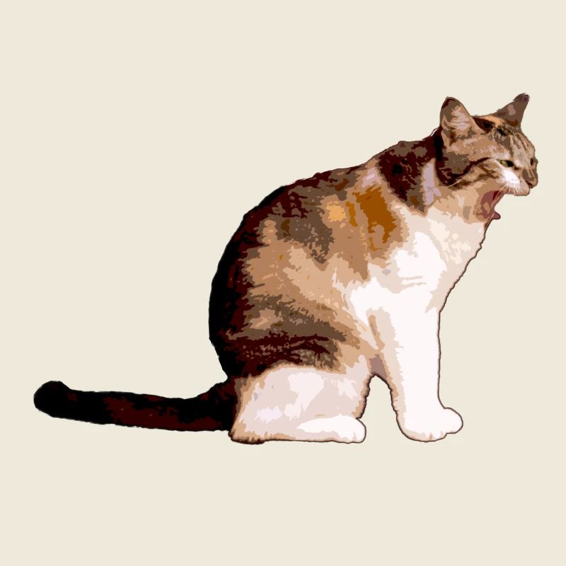 le chat