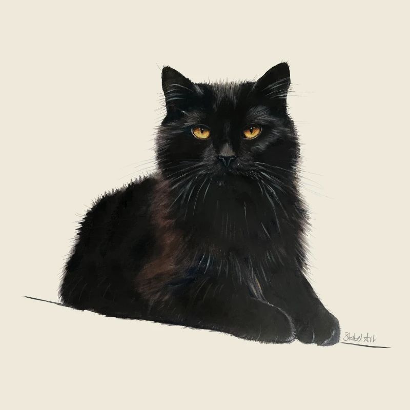 Chat
