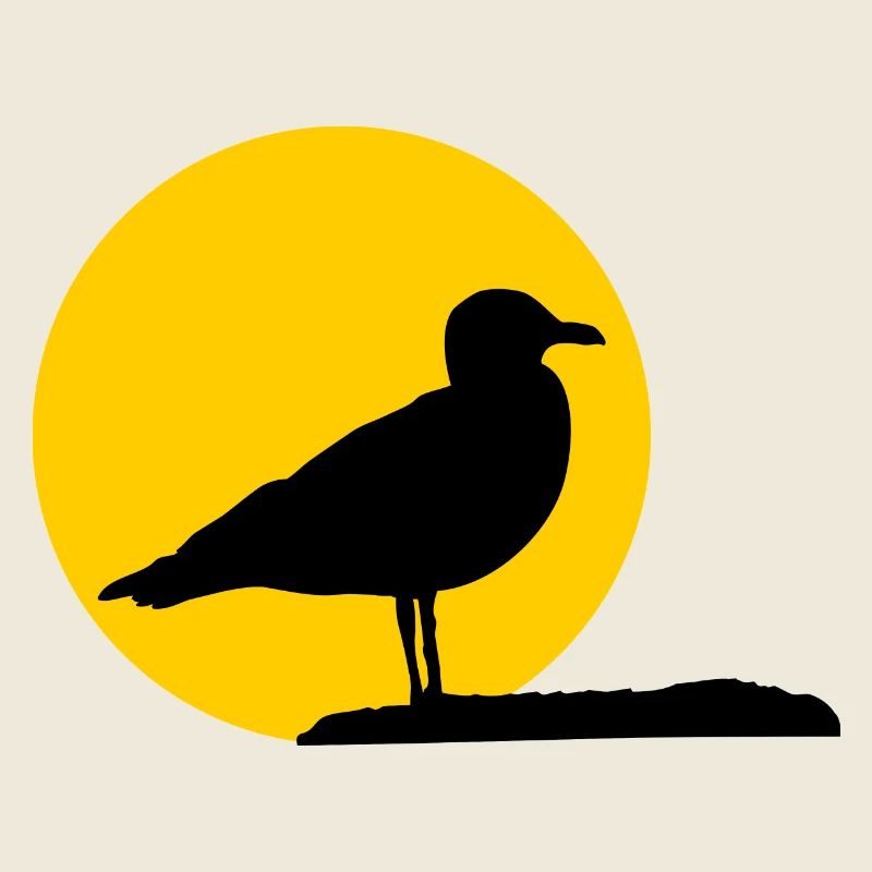 Mouette devant le soleil