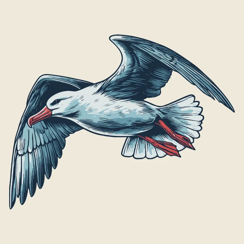 Albatros