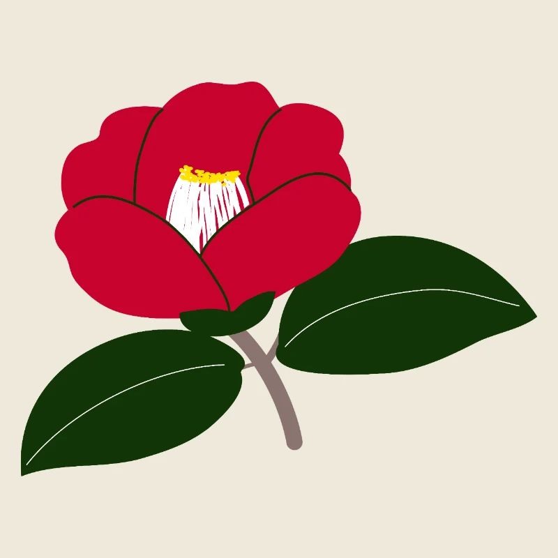 Rote Kamelienblüte Illustration2