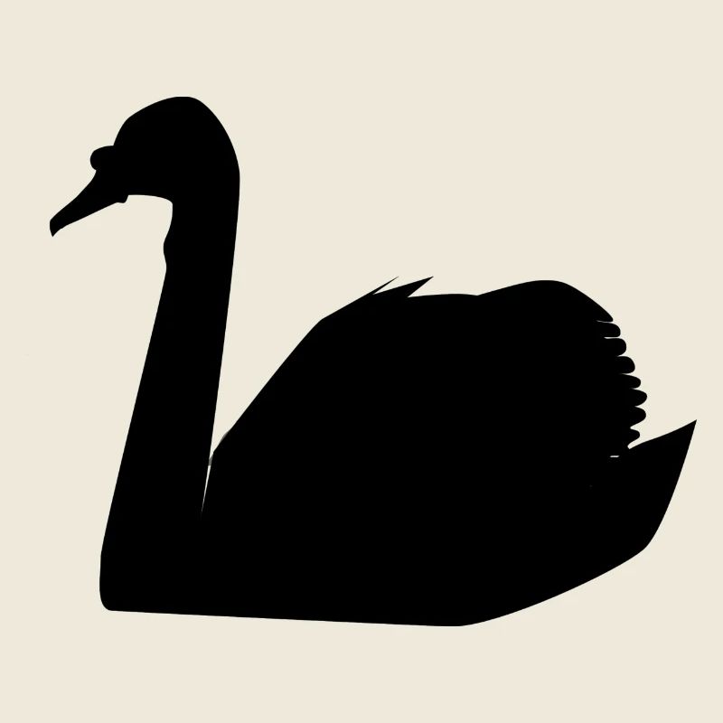 swan33