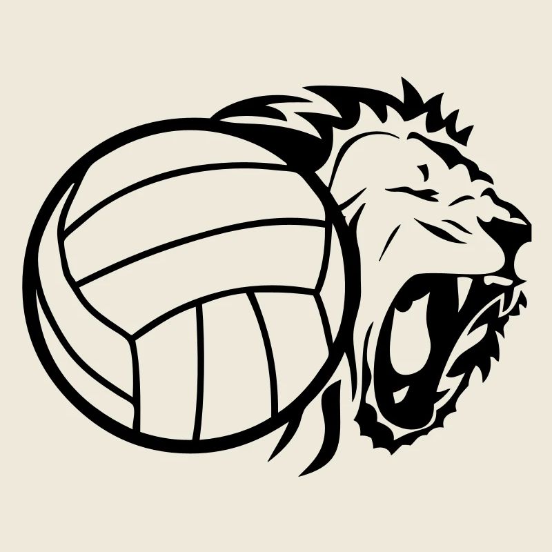 ballon volleyball lion