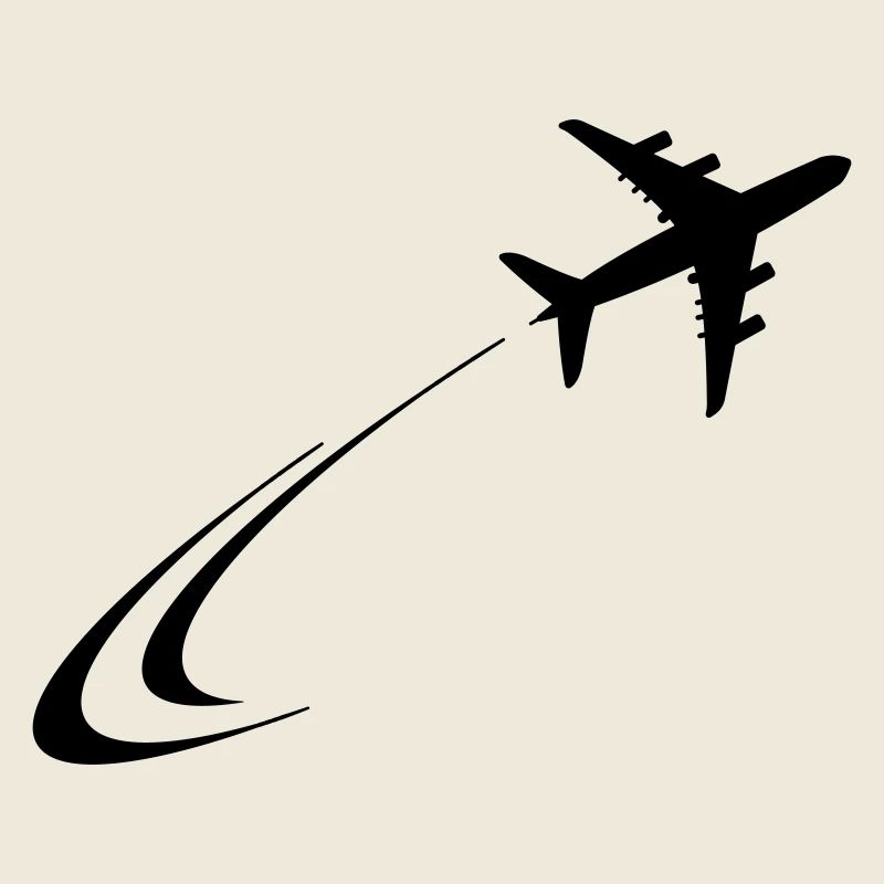 Plane flies away