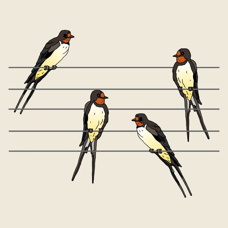 Birds