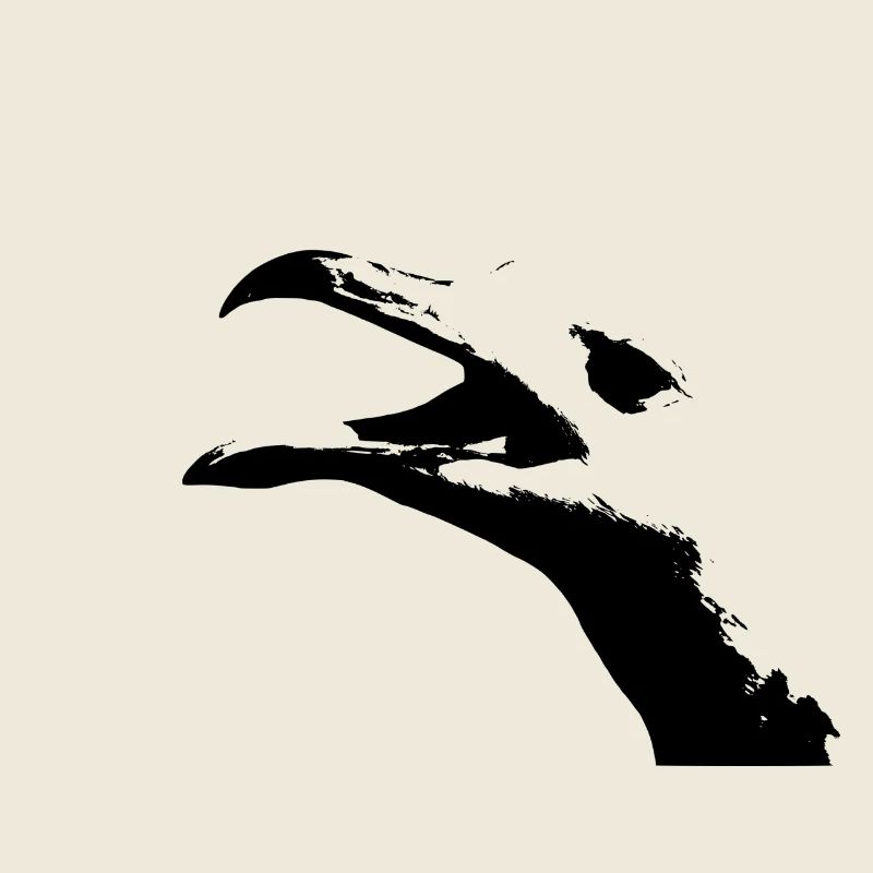 mouette