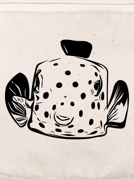 Kofferfisch