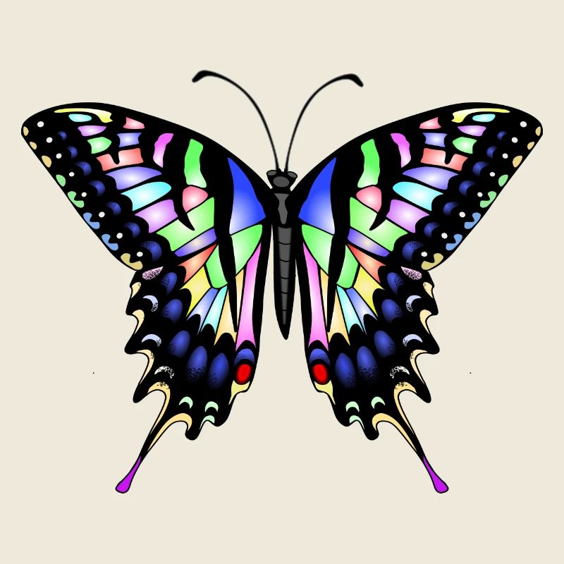 Schwalbenschwanz Schmetterling