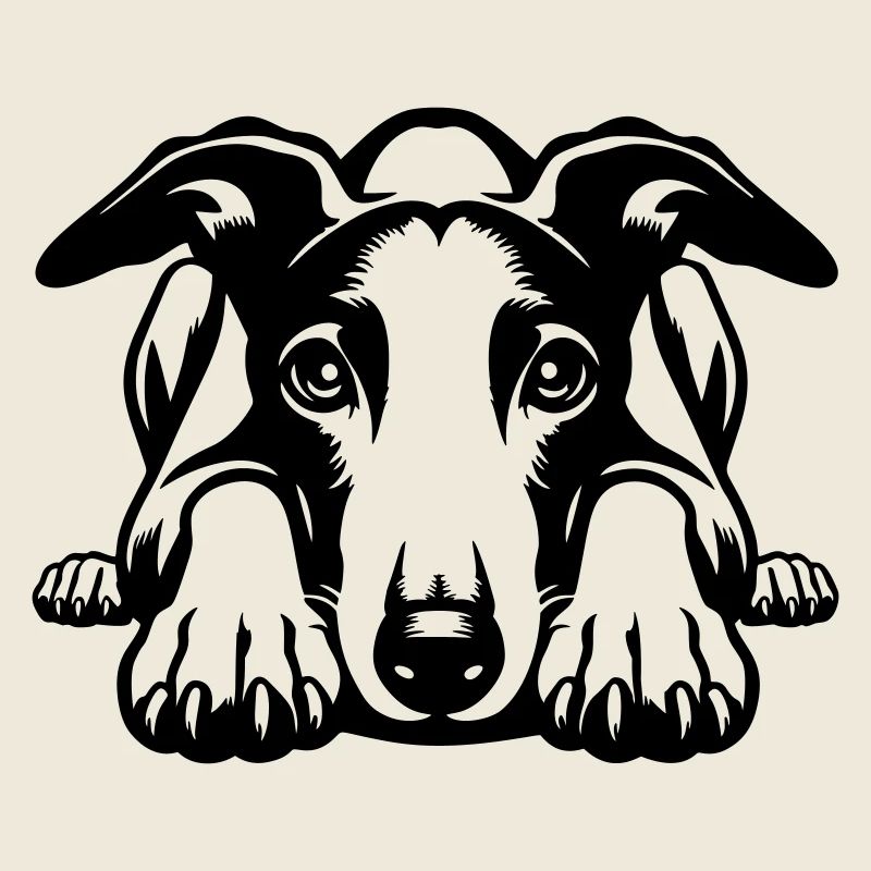 Whippet Kopf mit Pfoten