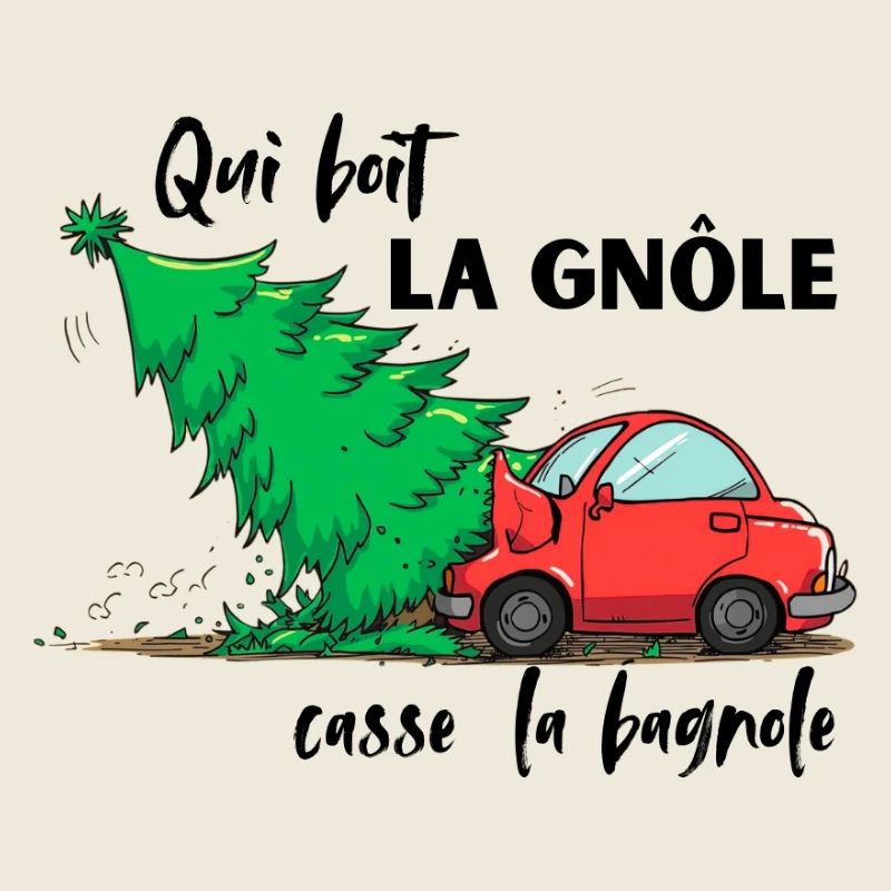 QUI_BOIT_LA_GNOLE_CASSE DAS AUTO