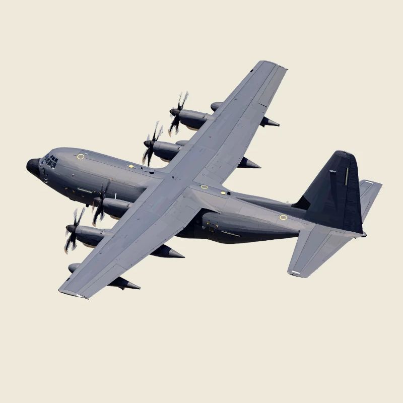 C-130 Grau Silhouette