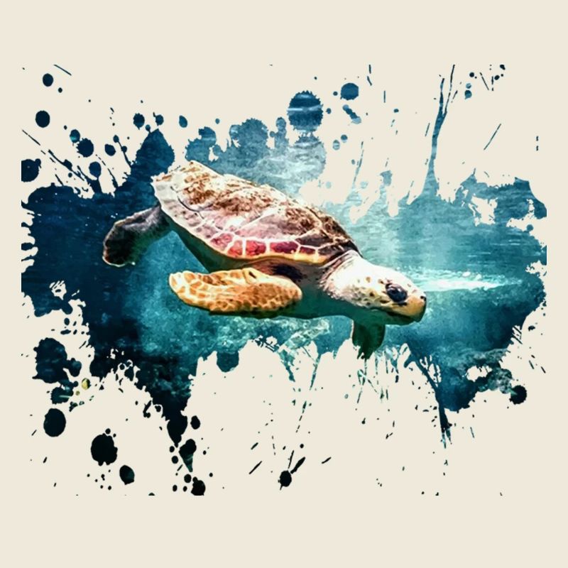Schildkröte Splash