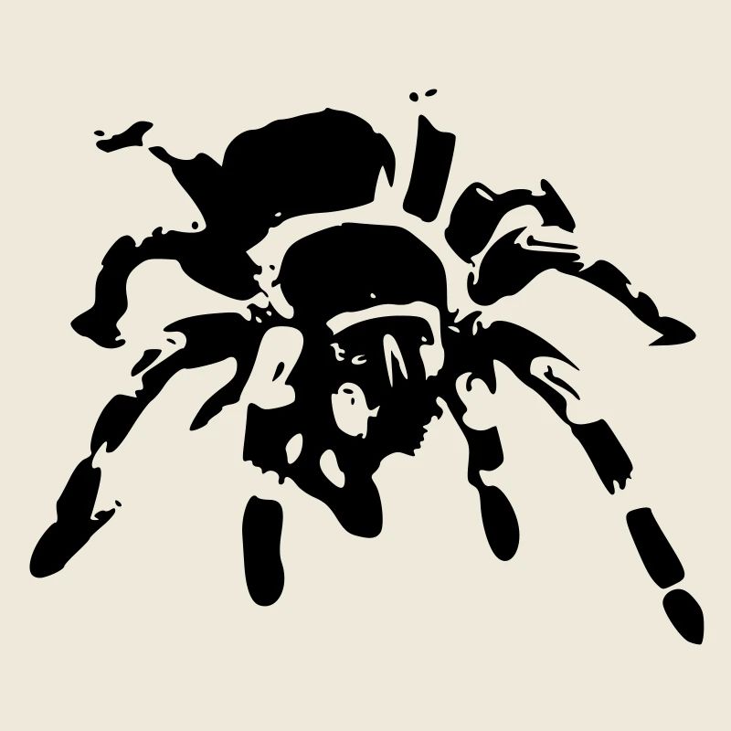 araignée