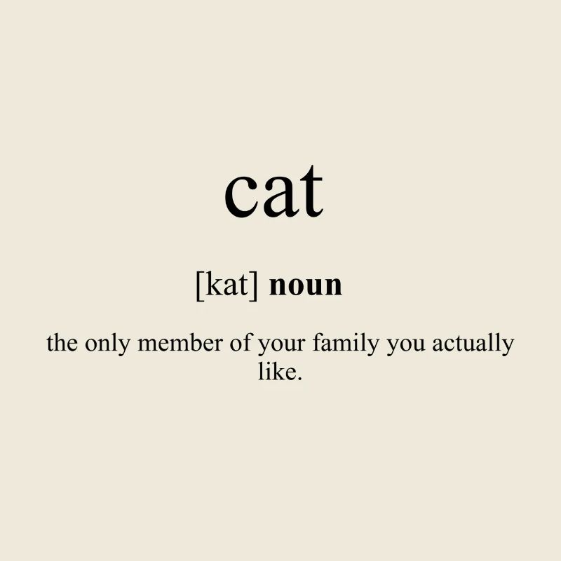 Cat (Katze) Definition Dictionary