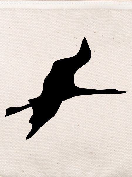 oiseau
